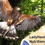 Ladyhawk Nutrition LLC