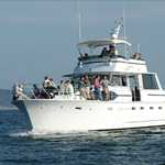 Yacht Boat Charters